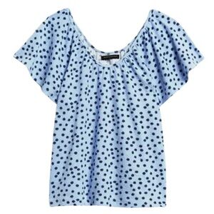 Banana Republic Blue Floral Flutter Sleeve Top Size XS